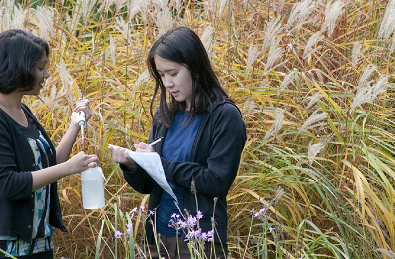 两个澳门葡京博彩软件的学生站在高高的草丛中取标本
