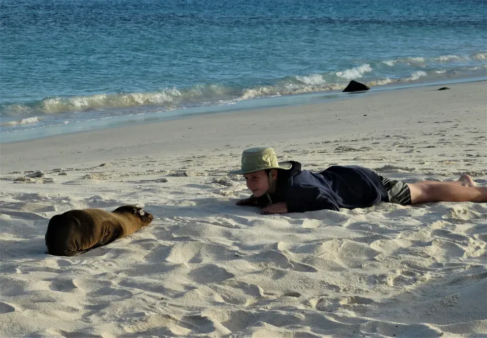一个人躺在沙滩上看着一只海豹